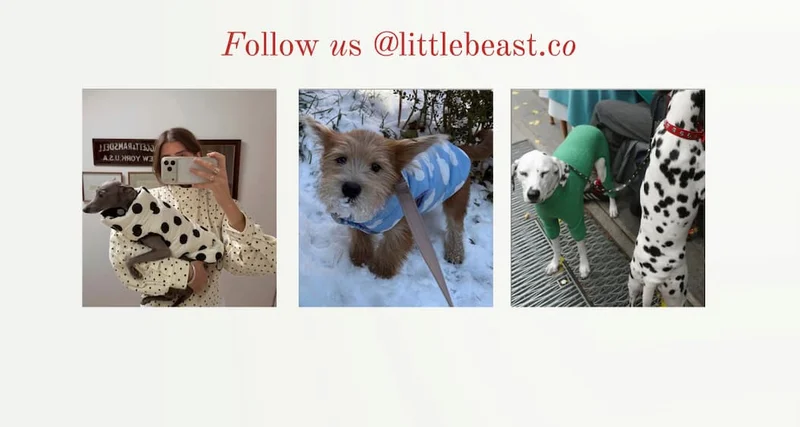 Follow us on Instagram