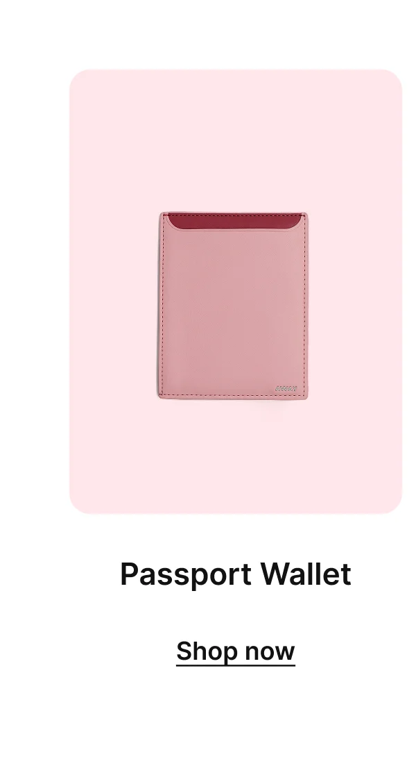 The Passport Wallet