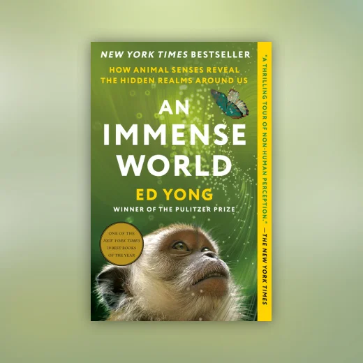 An Immense World