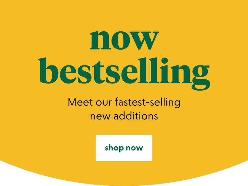 shop now
