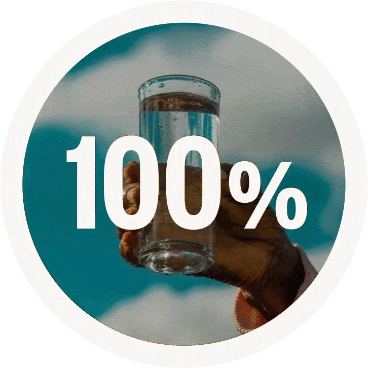 Piechart that animations from 0 to 100