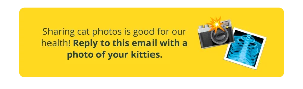 Sharing cat photos is good for our health! Reply to this email with a photo of your kitties.