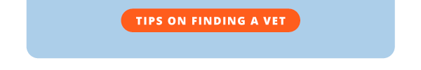 Tips on finding a vet
