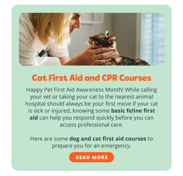 Cat First Aid and CPR Courses. Happy Pet First Aid Awareness Month! While calling your vet or taking your cat to the nearest animal hospital should always be your first move if your cat is sick or injured, knowing some basic feline first aid can help you respond quickly before you can access professional care.  Here are some dog and cat first aid courses to prepare you for an emergency. Read more