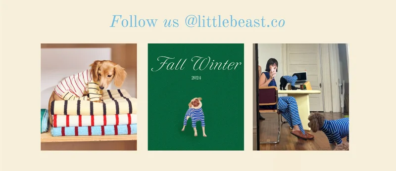 Follow us on Instagram