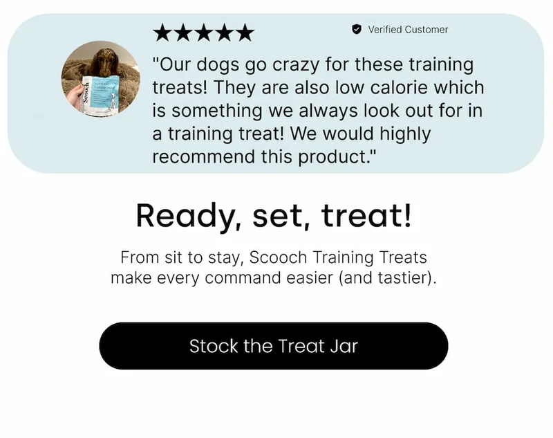 Stock the Treat Jar
