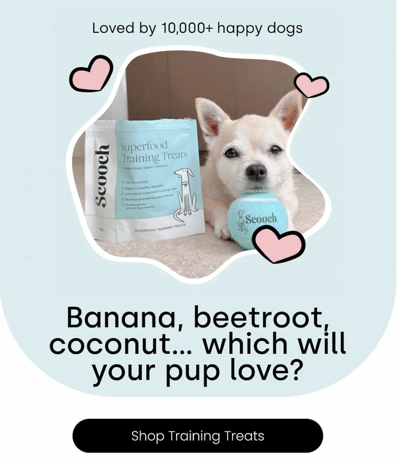 Shop Training Treats