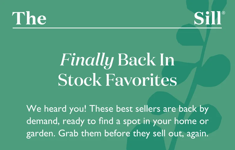 We heard you! These best sellers are back by demand, ready to find a spot in your home or garden. Grab them before they sell out, again.