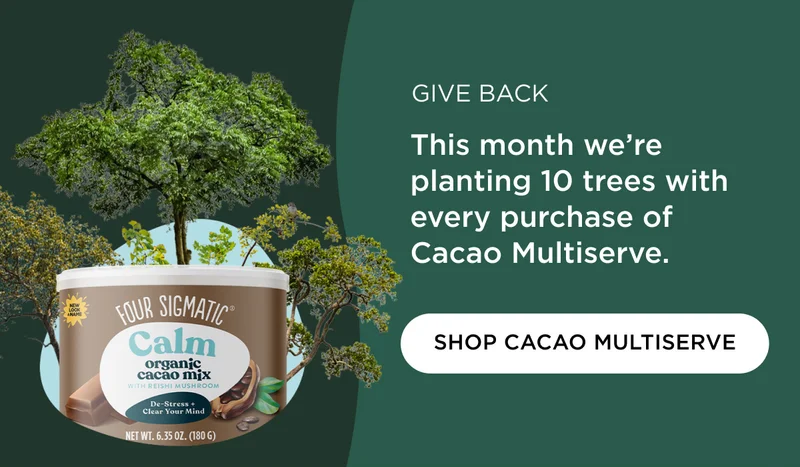 GIVE BACK - This month we're planting 10 trees with every purchase of Cacao Multiserve. - SHOP CACAO MULTISERVE