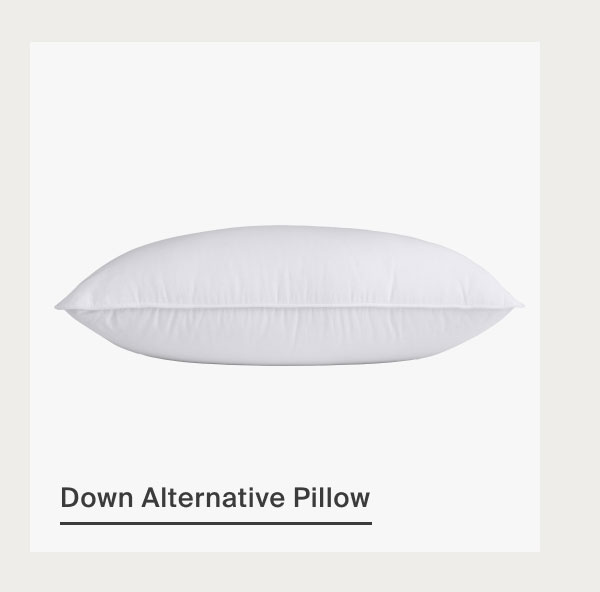 Shop Down Alt Pillow