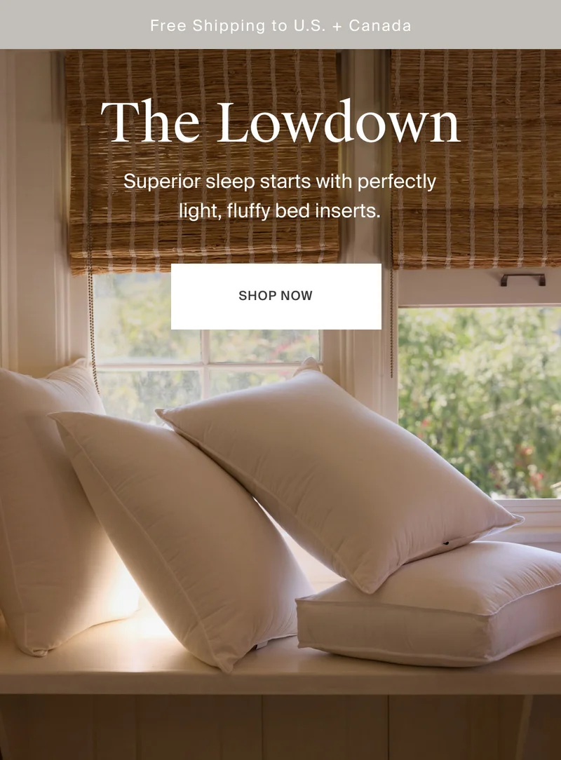 Shop Bed Inserts