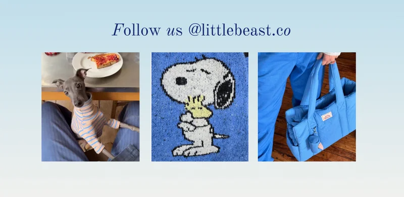 Follow us on Instagram