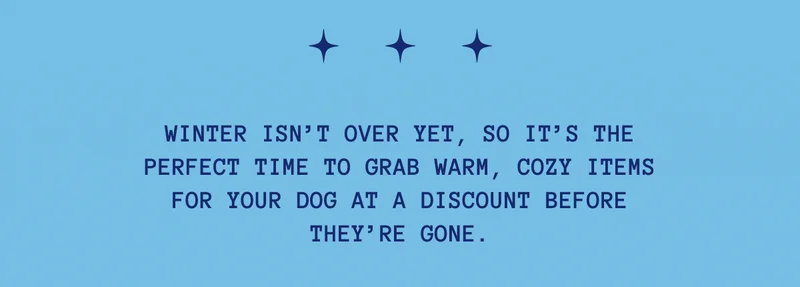 It’s the perfect time to grab warm, practical items for your dog at a discount.
