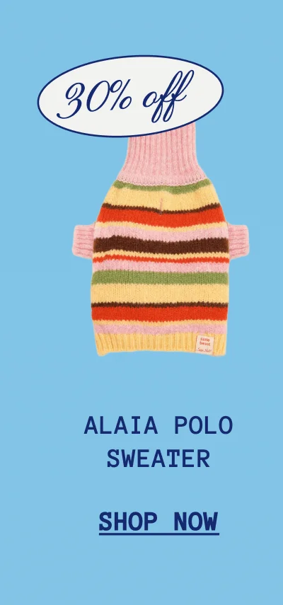 Alaia Polo Sweater
