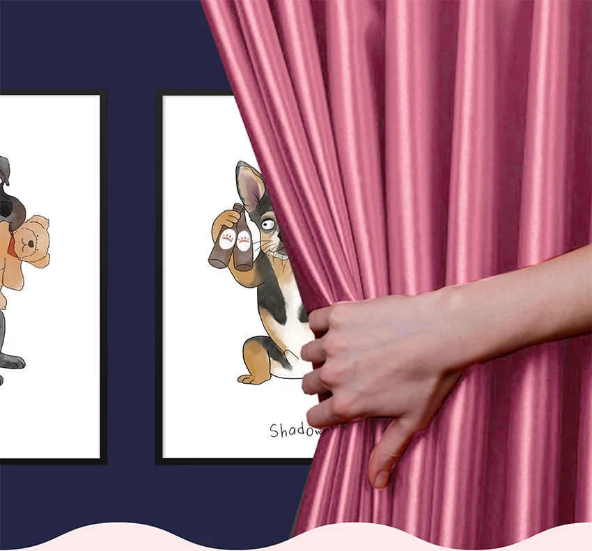 New collection coming soon. Drawing curtain away from a new portrait style of a pet holding beer bottles.