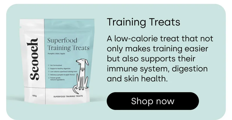 There's an apple-y ever after with Scooch - Shop Training Treats