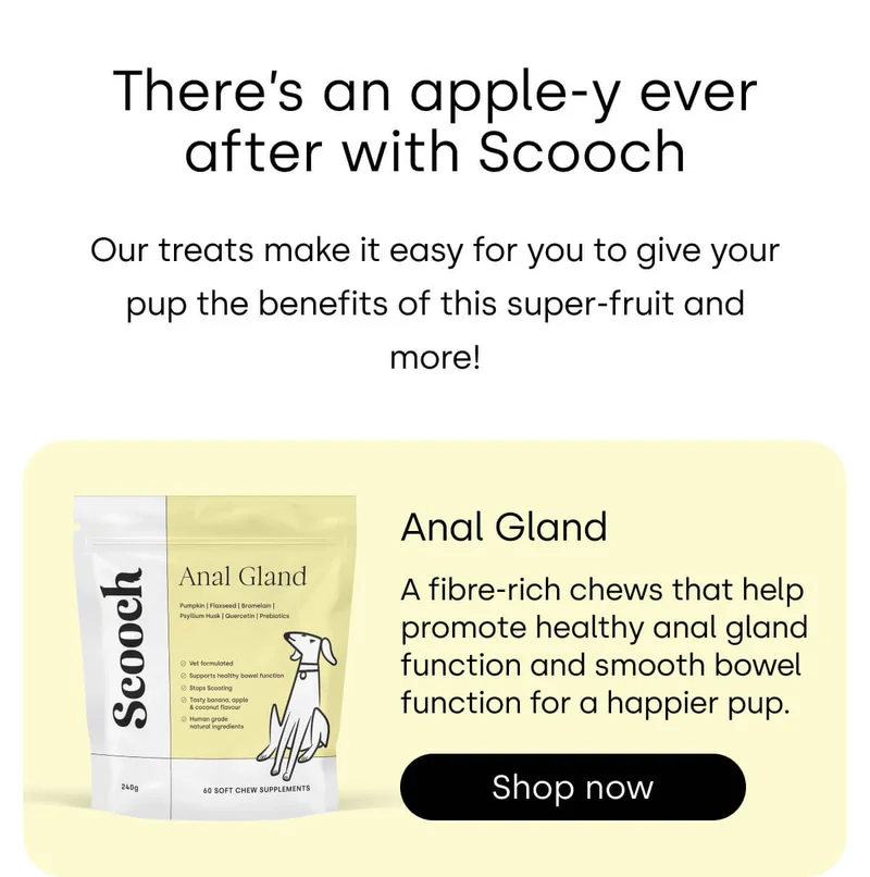 There's an apple-y ever after with Scooch - Shop Anal Gland