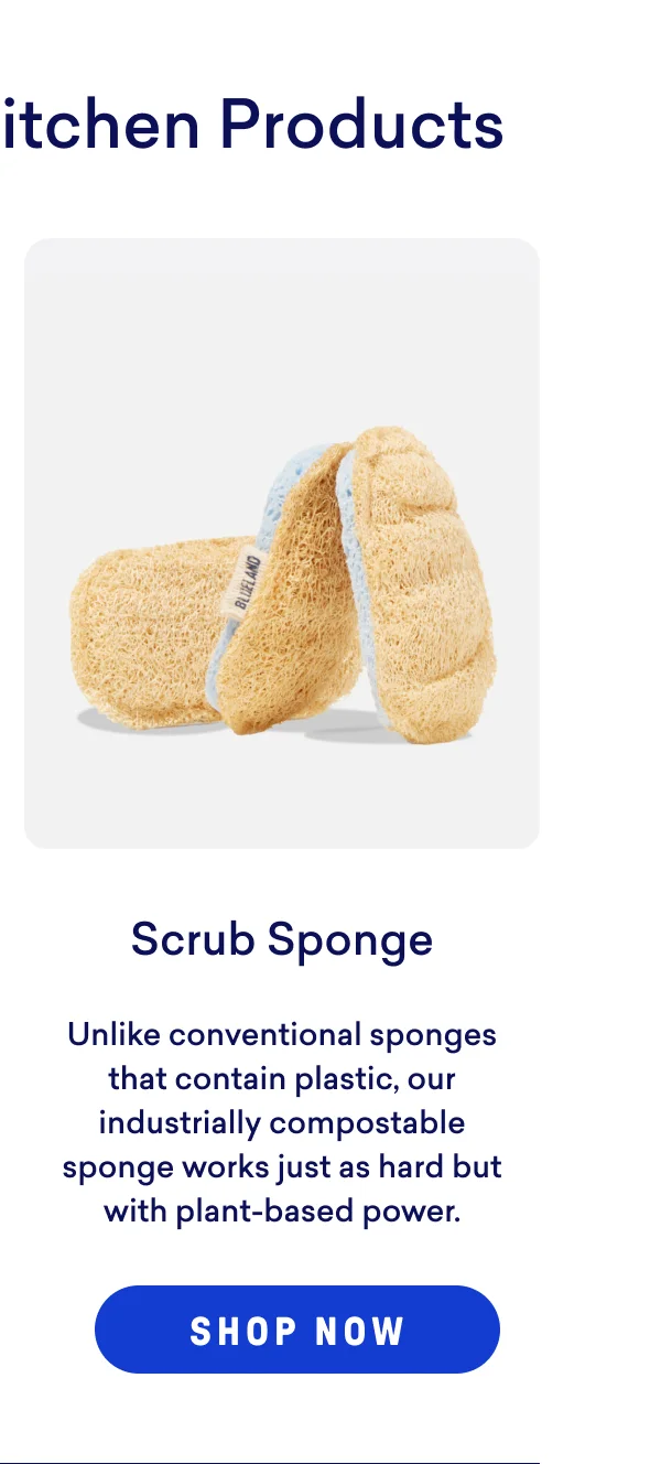 Shop our Scrub Sponge!