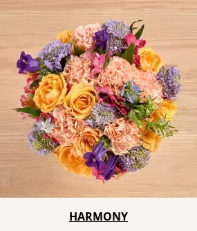 Double Your Blooms For Free