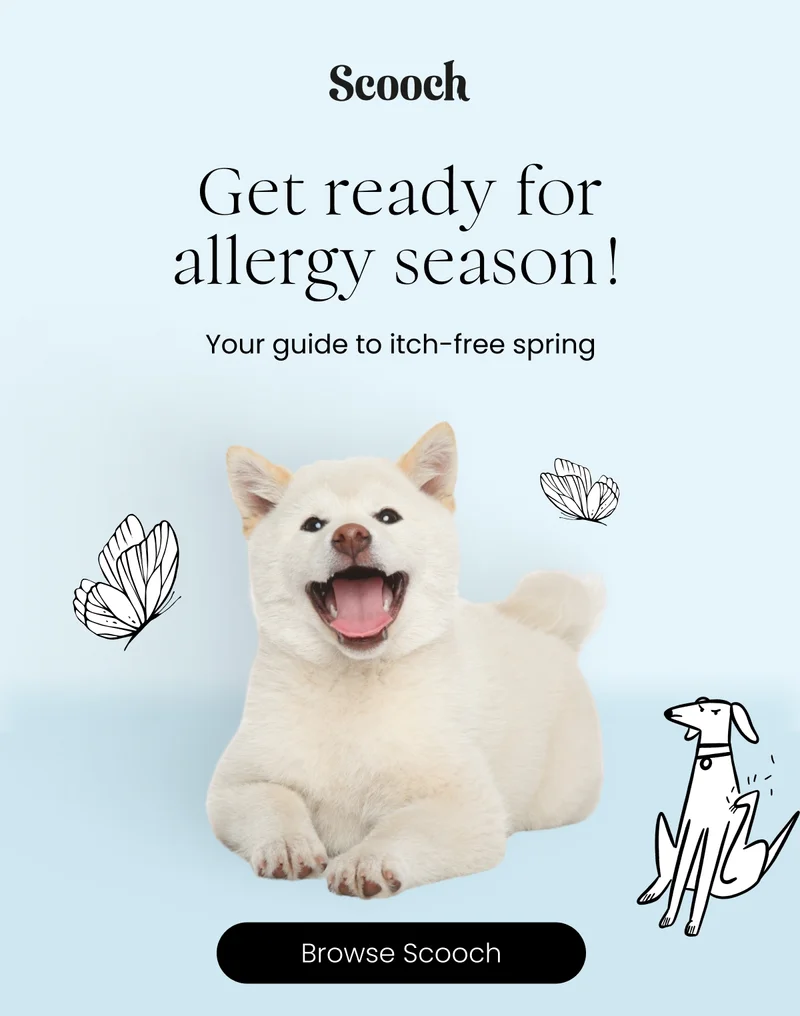 Get ready for allergy season - Guide to itch-free spring - Browse Scooch