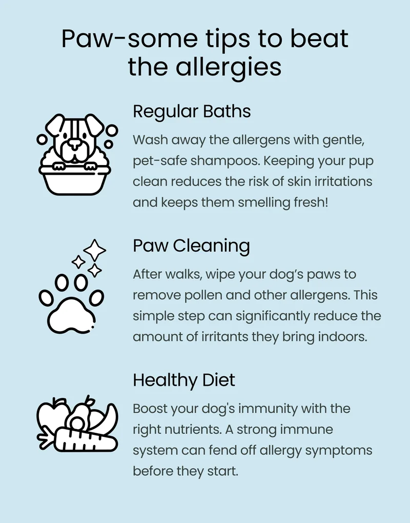 Paw-some tips to beat the allergies