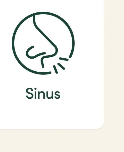 Sinus