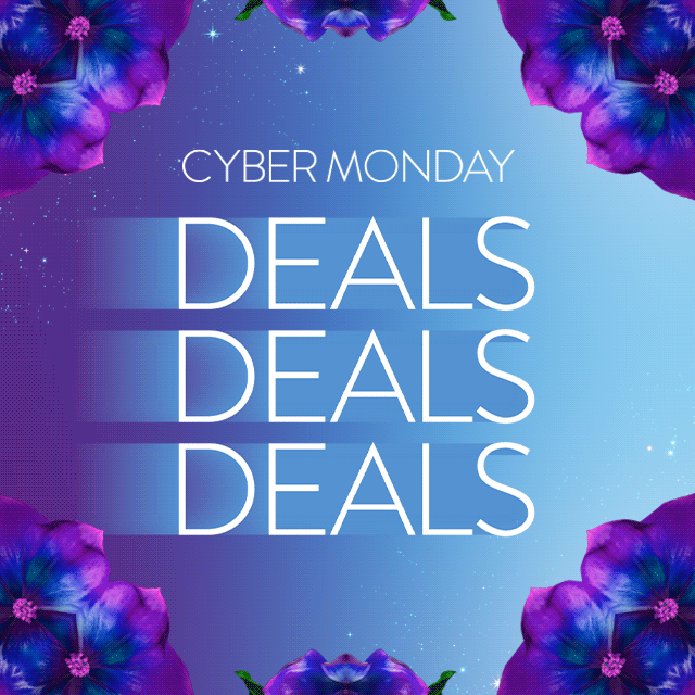 Cyber Monday deals.