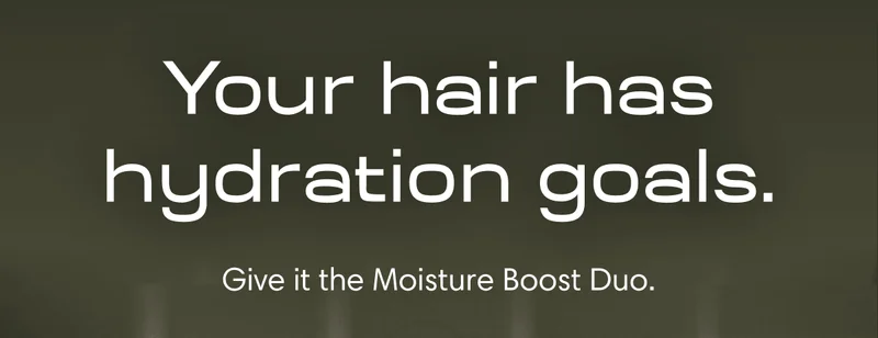 Your hair has hydration goals. Give it the Moisture Boost Duo.