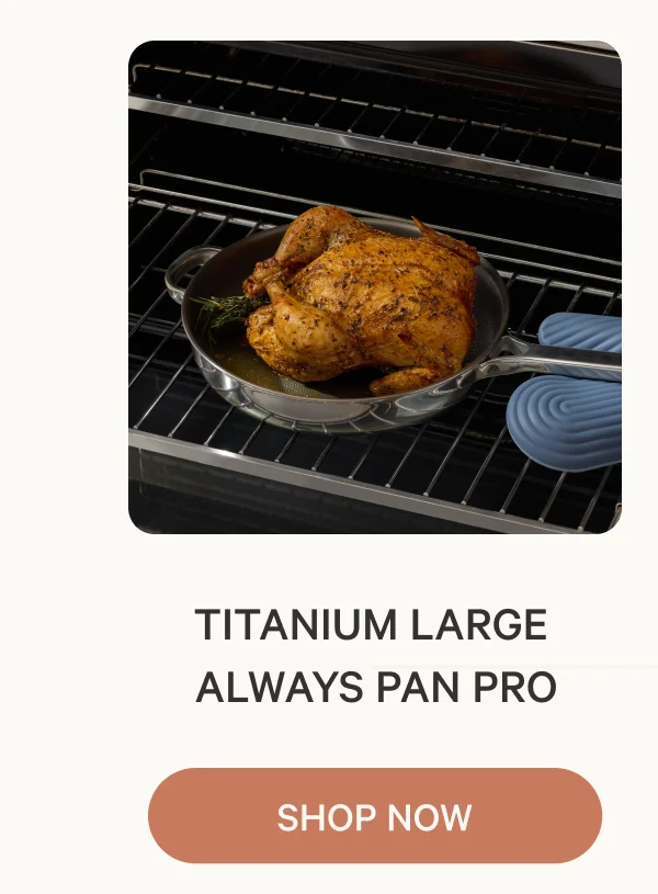 Titanium Large Always Pan® Pro