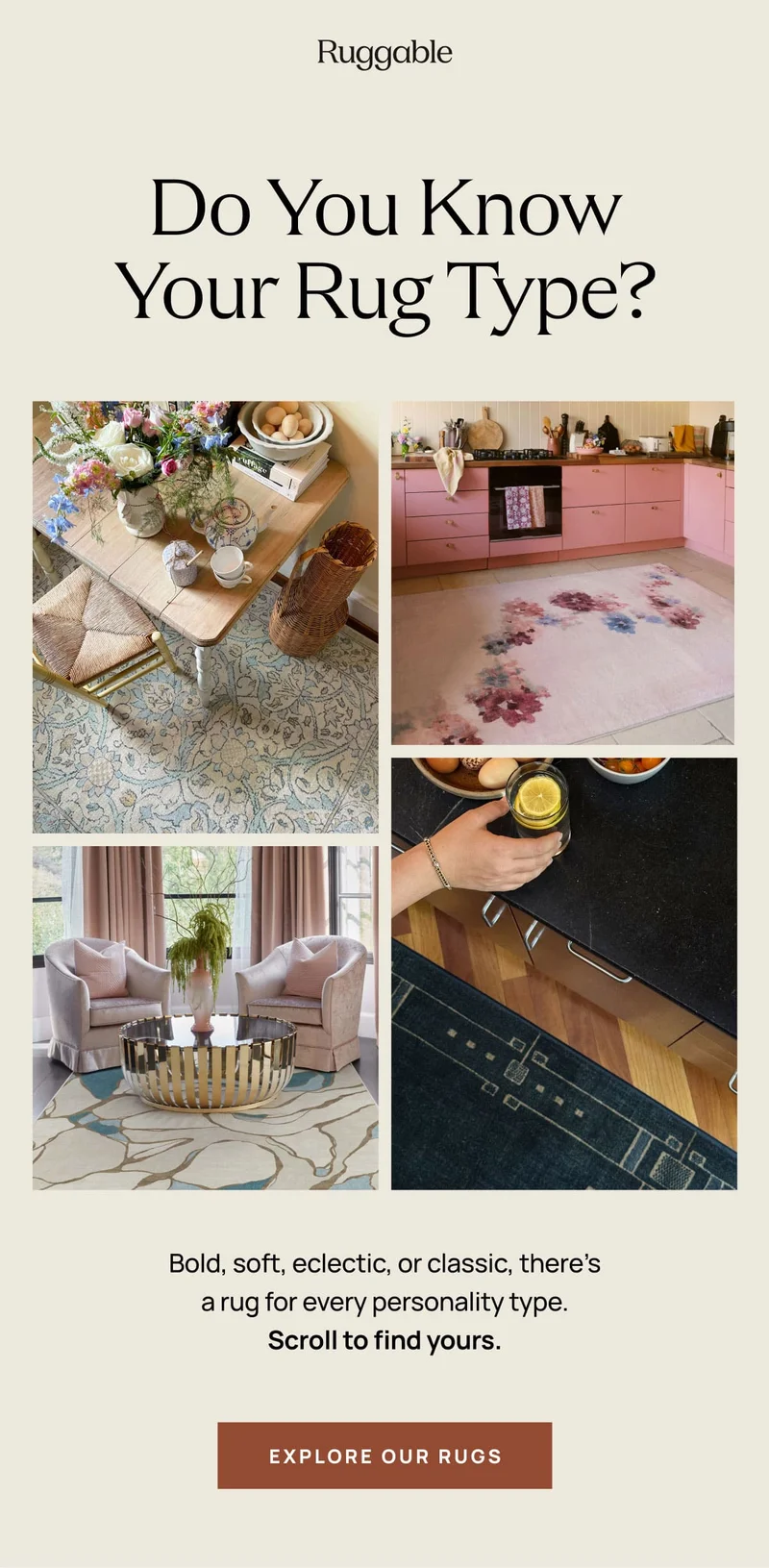 Explore Our Rugs