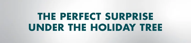 THE PERFECT SURPRISE UNDER THE HOLIDAY TREE