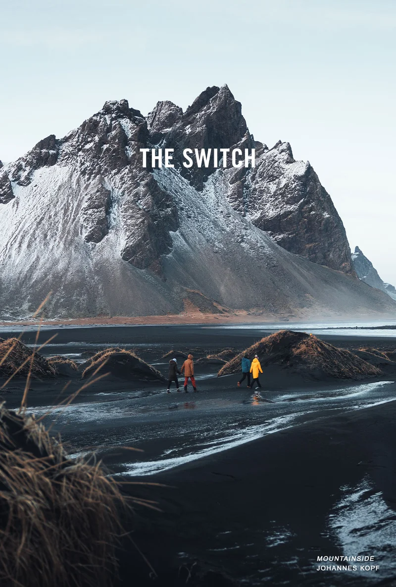 THE SWITCH