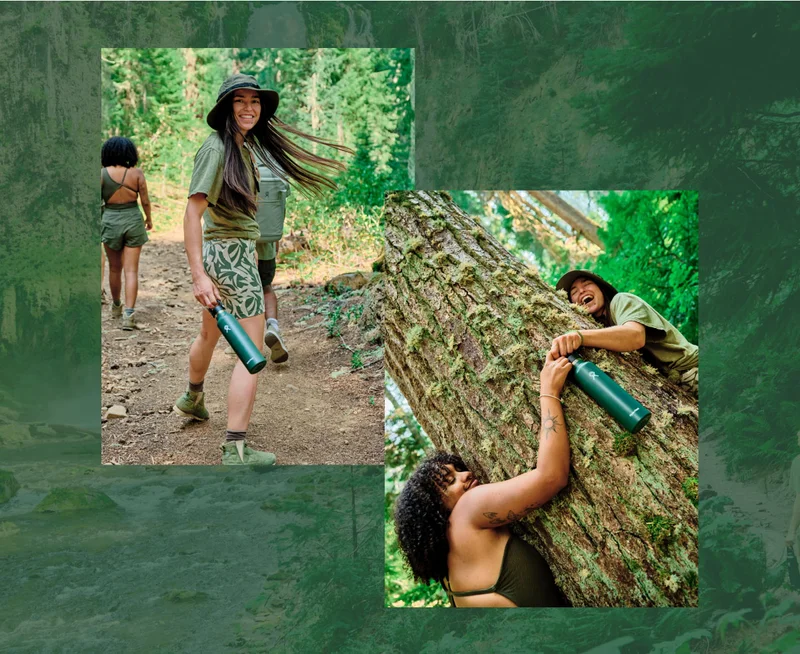 Introducing Fir Green