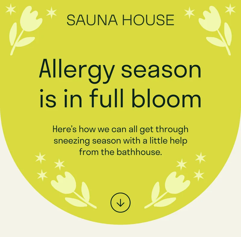 Sauna House. Allergy season is in full bloom. Here's how we can all get through sneezing season with a little from the bathhouse.