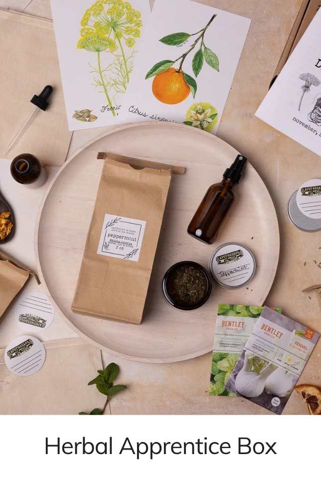 Herbal Apprentice Box