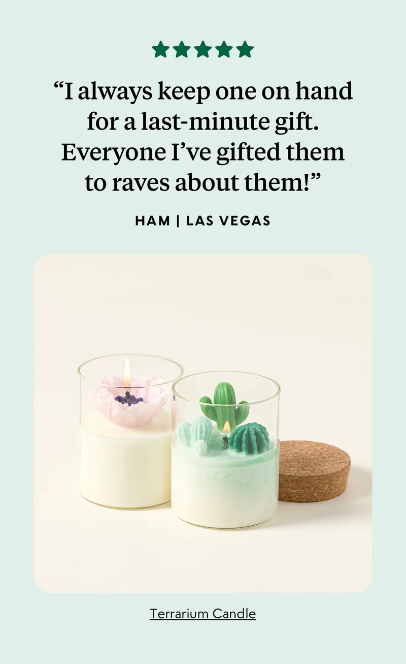 shop now