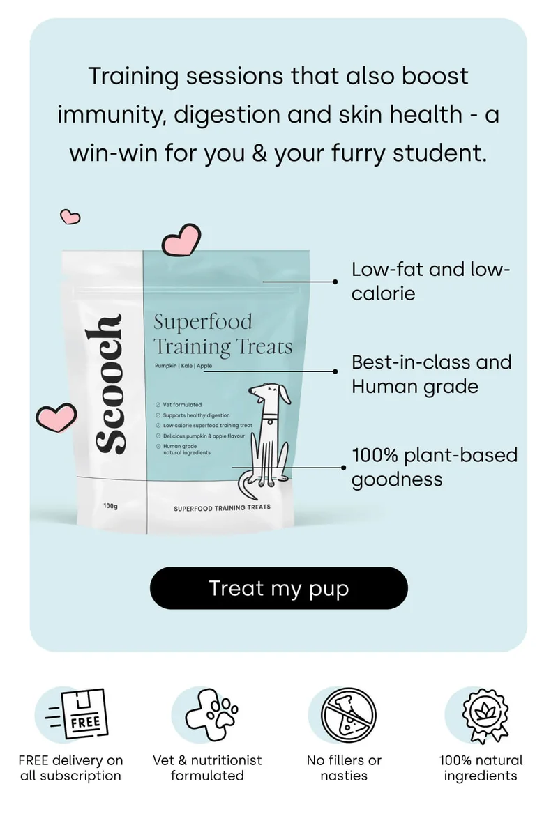 Training sessions that also boost immunity, digestion and skin health - a win-win for you & your furry student.