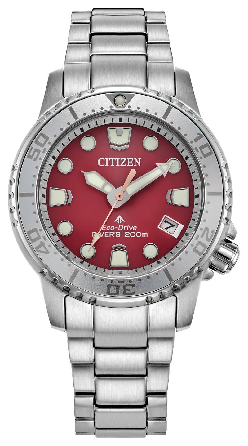 Image of Promaster Dive
