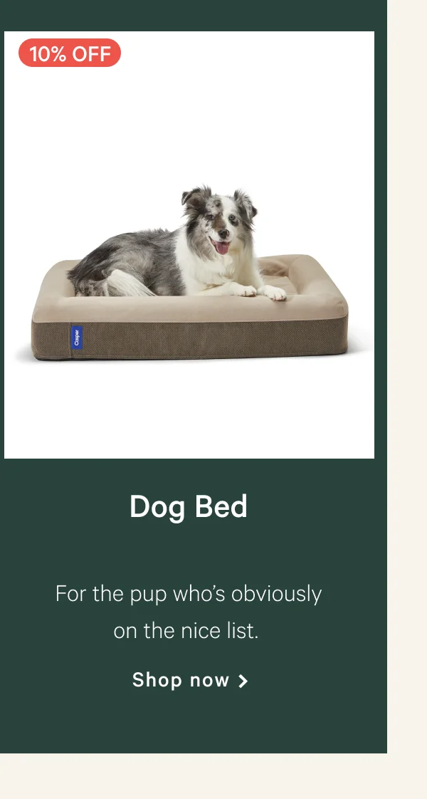 Dog Bed >> For the pup who's obviously on the nice list. >> Shop now >>