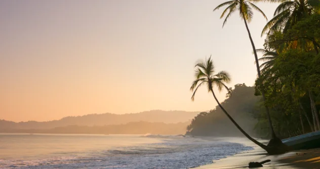 Last-minute travel ideas for January