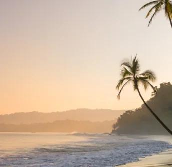 Last-minute travel ideas for January
