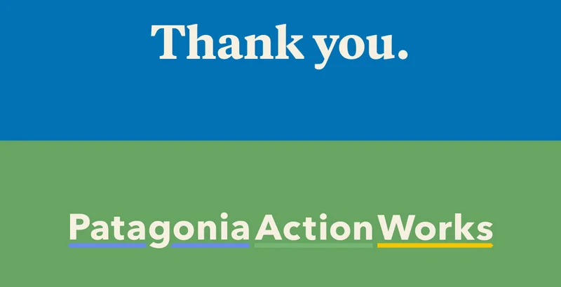 Patagonia Action Works
