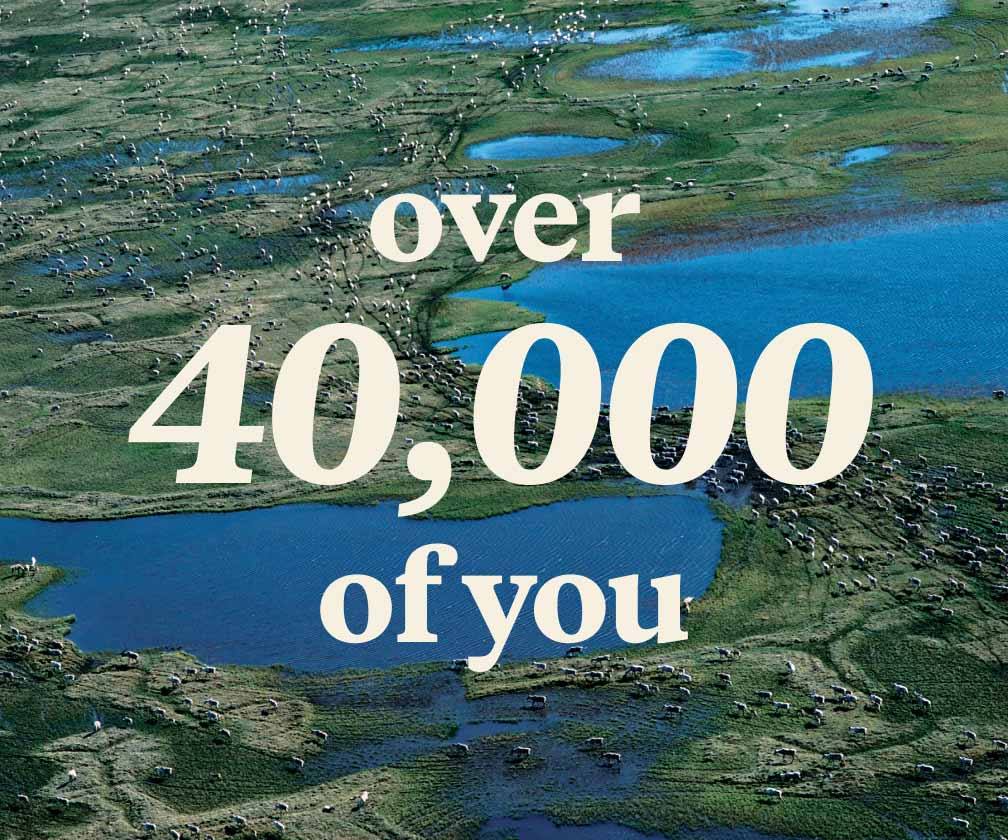 Over 40,000 of you.