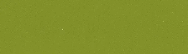 Footer Snail Graphic