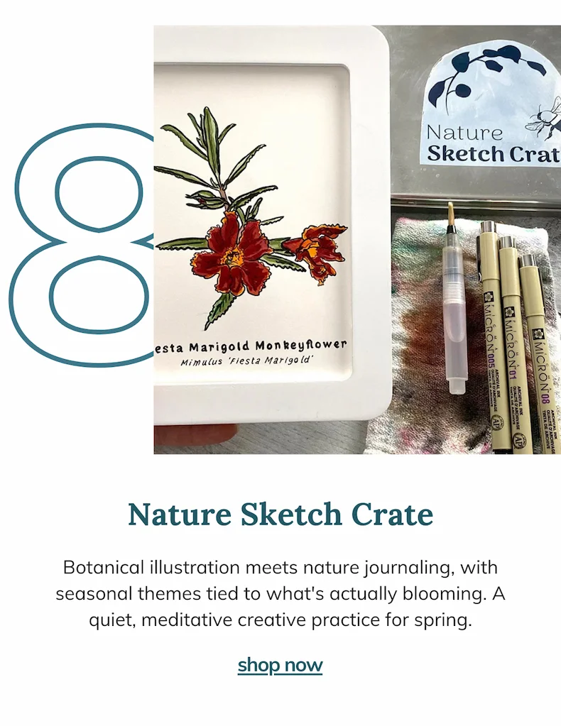 Nature Sketch Crate - Start Painting the easy way - Professional paint and watercolor paper included. Makes a great gift!