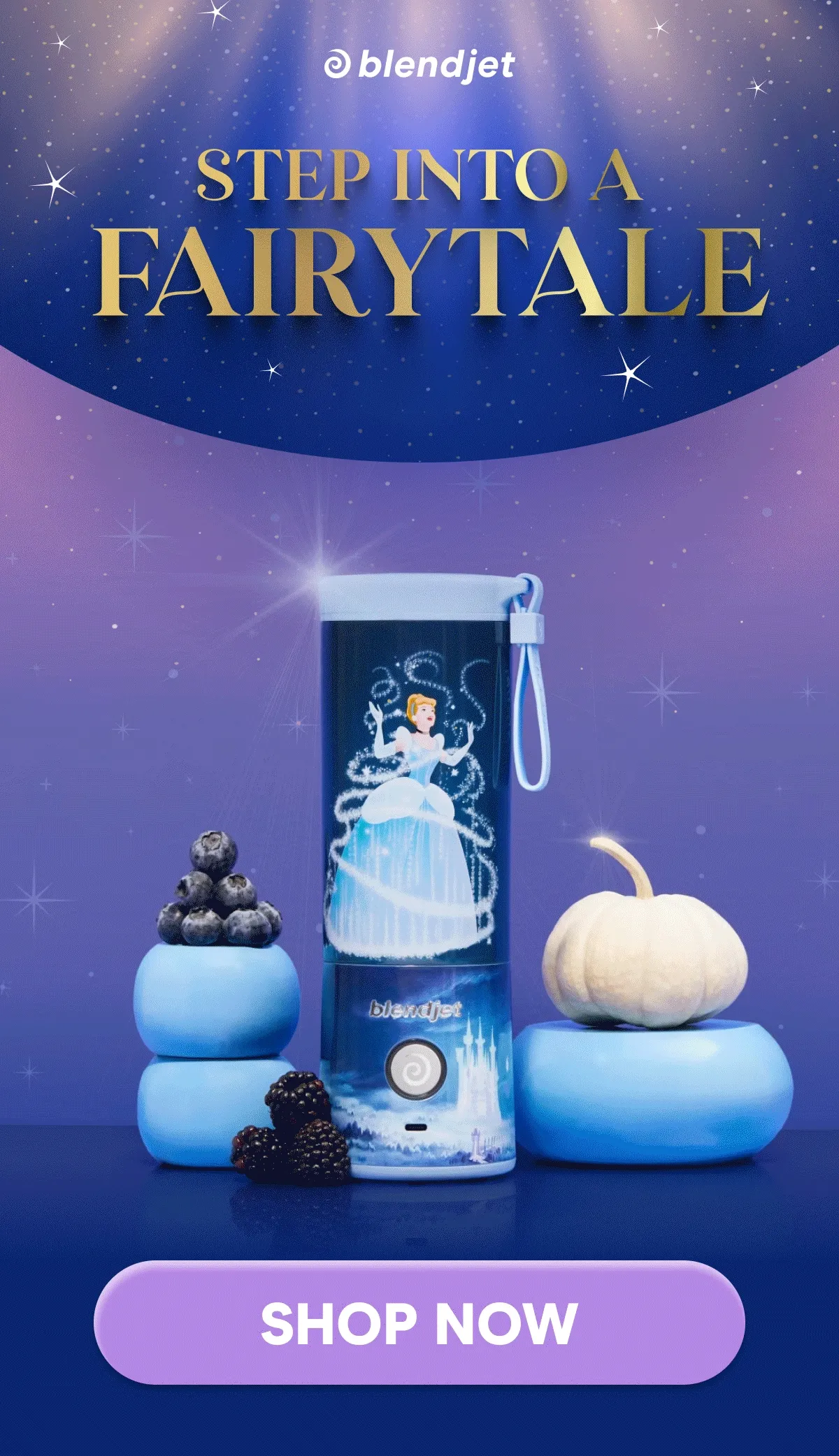 STEP INTO A FAIRYTALE