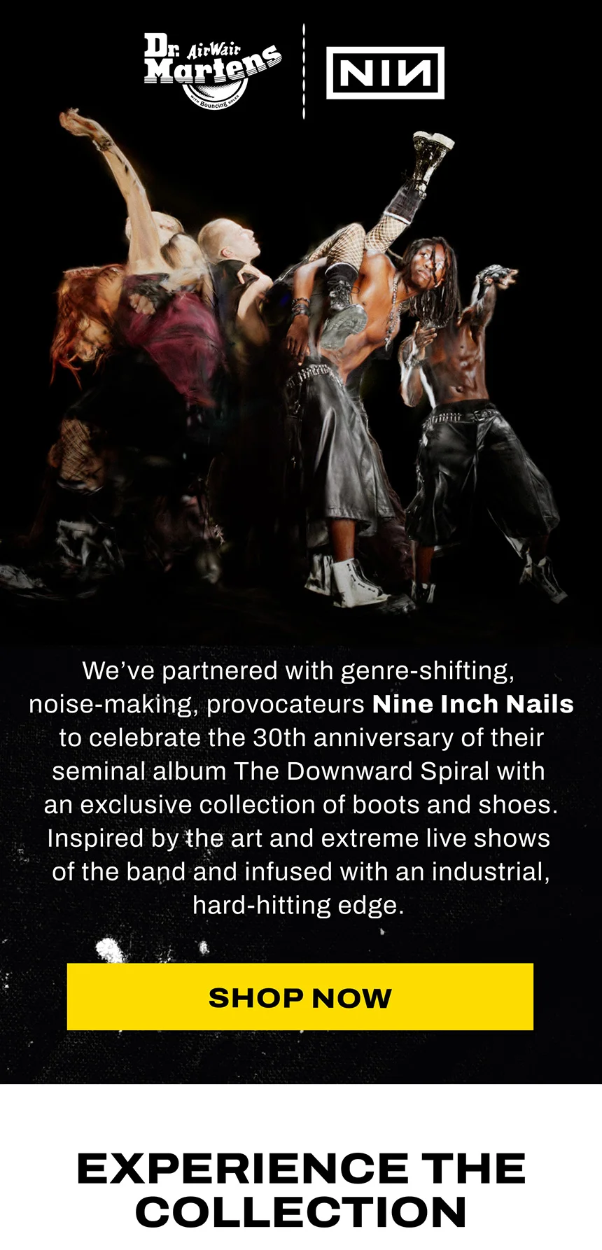 Shop the NIN Collab