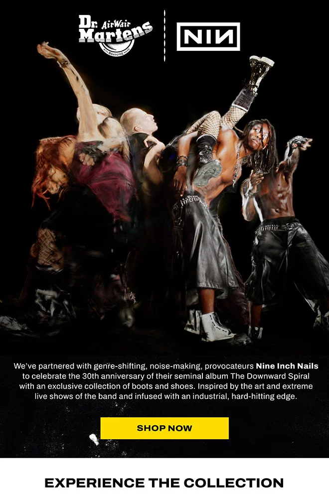 Shop the NIN Collab