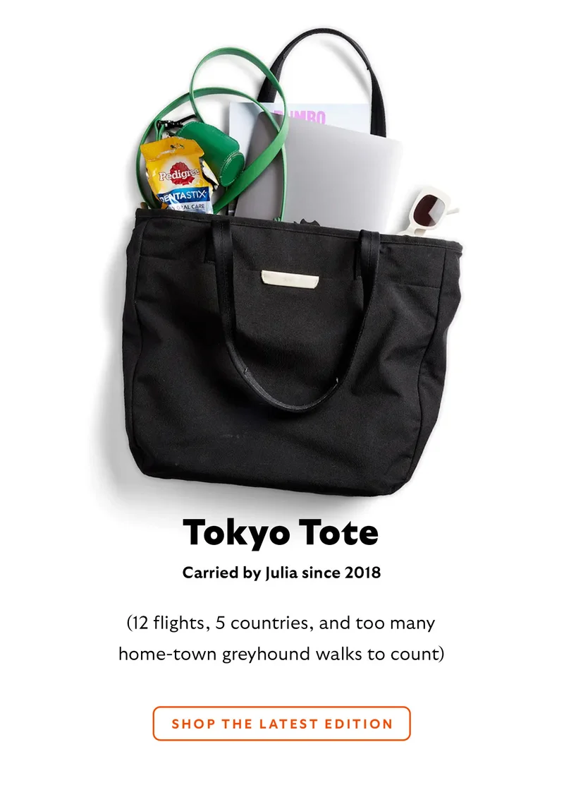 Tokyo Tote  Carried by Julia since 2018	 (12 flights, 5 countries, and too many home-town greyhound walks to count)