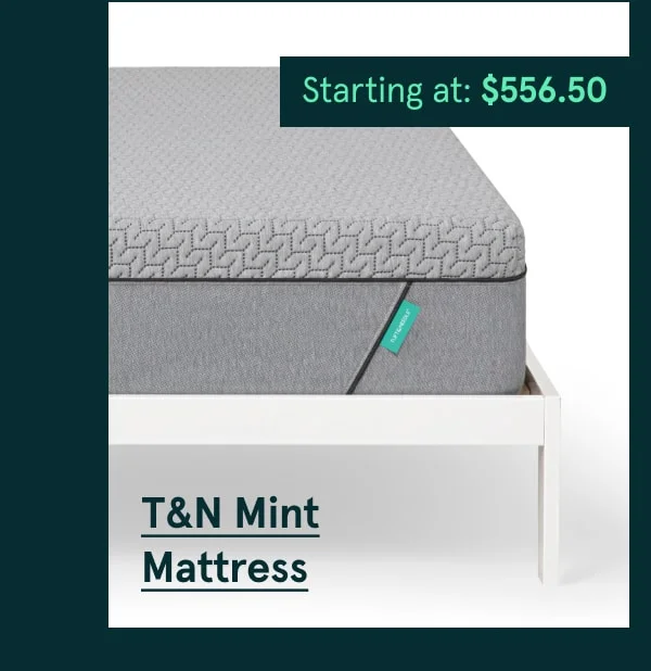 T&N Mint Mattress